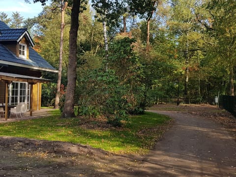 Ground-floor Bungalow in Borgerende-Rethwisch with Sauna Casa in Hoenderloo
