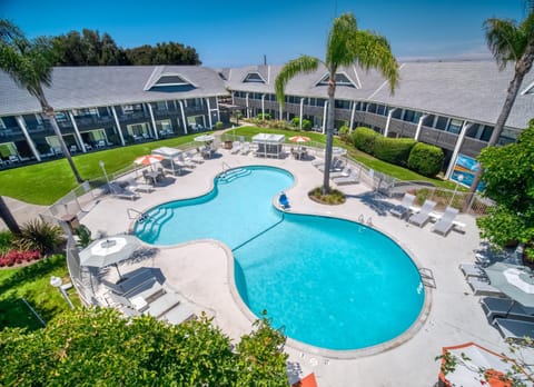 Bird's eye view, Pool view, Swimming pool, Swimming pool