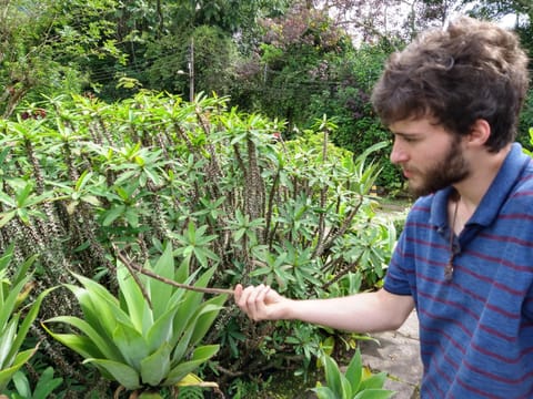Hotel Pousada Esmeralda Inn in Resende