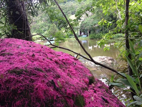 Natural landscape, Garden