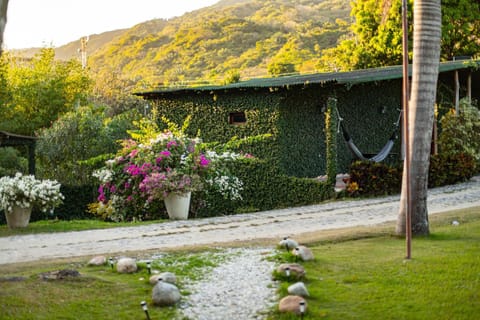 Garden, Mountain view