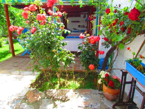 Patio, Facade/entrance, Garden