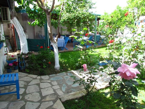 Patio, Garden