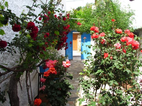 Property building, Facade/entrance, Garden