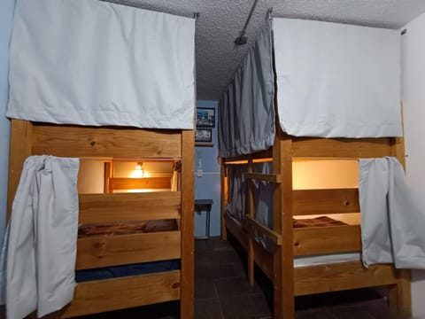 Monkey Safari Hostel Bed and Breakfast in Santiago de Queretaro