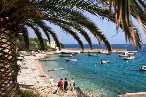 Activities, Beach