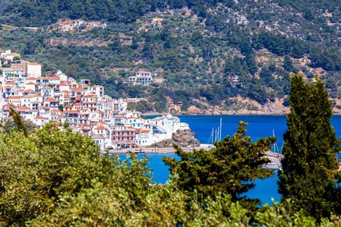 Naiades superior apartments in Skopelos with sea view close to the town Condo in Skopelos