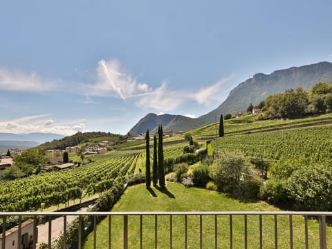Weingut am Platzl Apartment in Trentino-South Tyrol