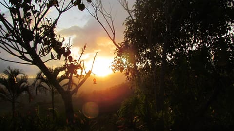 La Flor de Loto Chalet in Cartago Province, Costa Rica