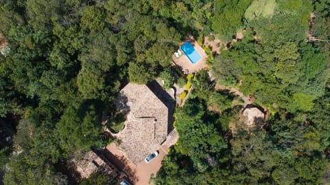 Day, Natural landscape, Bird's eye view, Garden, Swimming pool