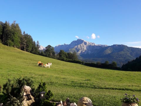 View (from property/room), Garden view, Mountain view