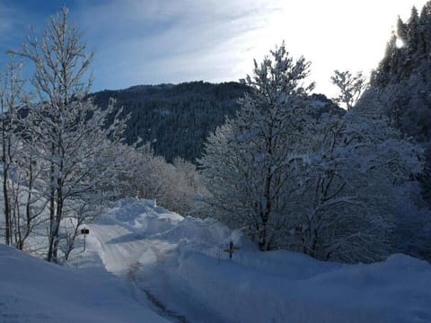 La Bartavelle Apartment in La Clusaz