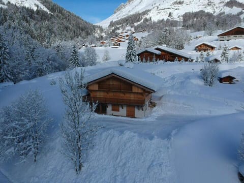 La Bartavelle Apartment in La Clusaz