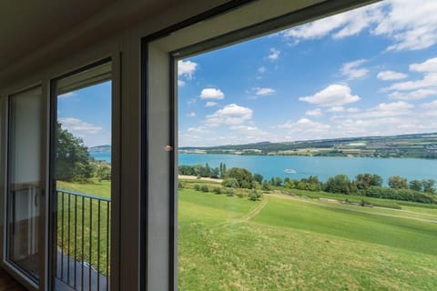 Lake View Apartments Beinwil am See (30 km to Lucerne) Apartment in Canton of Lucerne