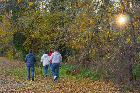 Natural landscape, Autumn