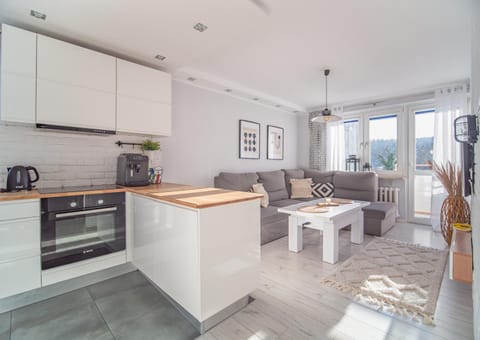 Kitchen or kitchenette, Living room, Seating area, stove