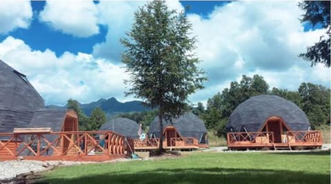 Domos Elohim Nature lodge in Pucon