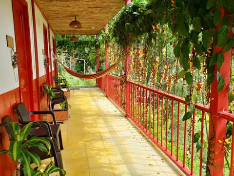 Patio, Balcony/Terrace