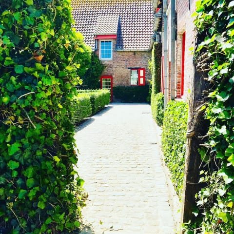 Property building, Garden, Garden view