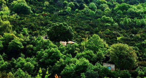 Facade/entrance, Bird's eye view, City view, Garden view, Landmark view, Mountain view, Sea view, Street view