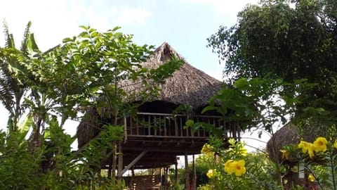 Sunny Field Eco Stilt House Nature lodge in Lâm Đồng