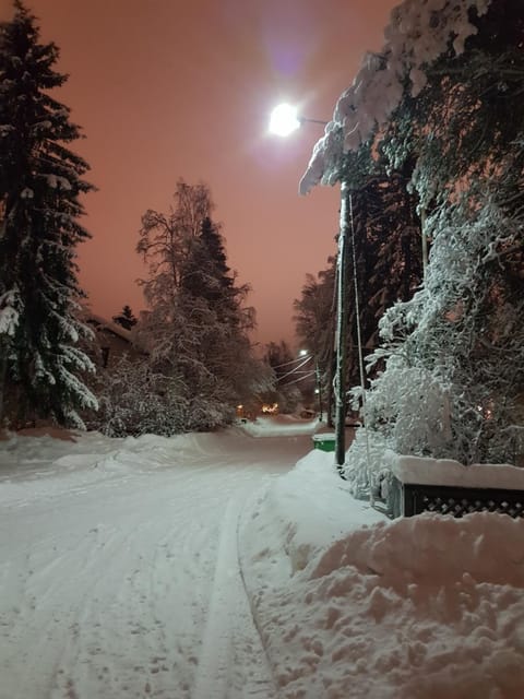 Arctic Red House Vacation rental in Rovaniemi