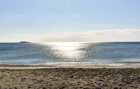 Nearby landmark, Beach