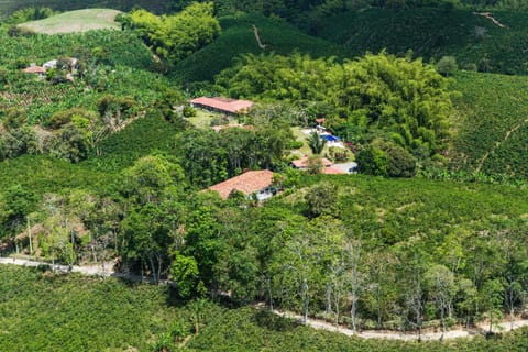 Natural landscape, Mountain view