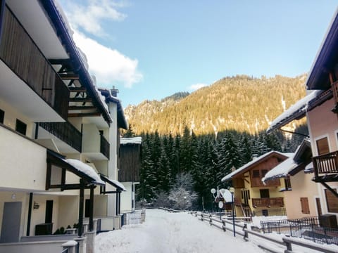 Residence Des Alpes Condo in Canazei