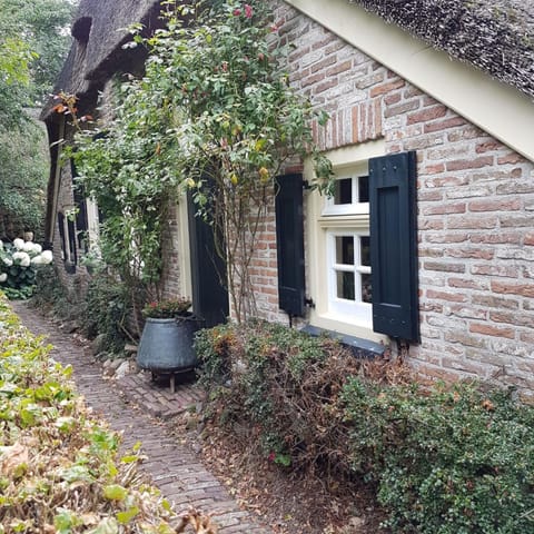 Property building, Facade/entrance, Garden