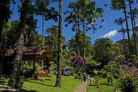 Children play ground, Game Room, Garden