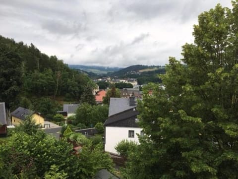 Ferienwohnung Graupner Vacation rental in Erzgebirgskreis