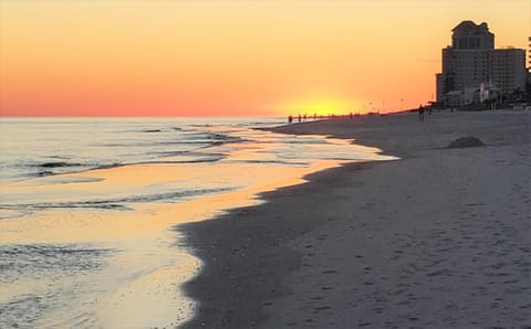 Sunswept 506 Condo Apartment in Orange Beach