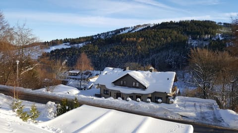 Haus Vor den Eichen für Familien House in Willingen