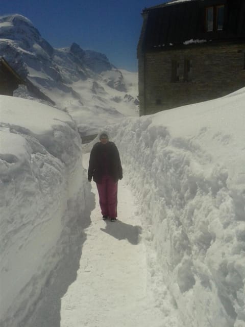 Alpen-Sonne Condo in Canton of Valais