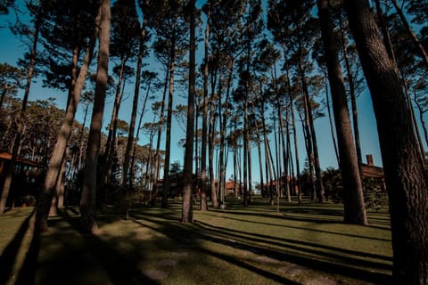 Il Belvedere Hotel in Punta del Este