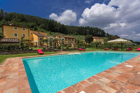 Swimming pool, Swimming pool