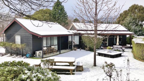 Property building, Day, Winter, Garden view