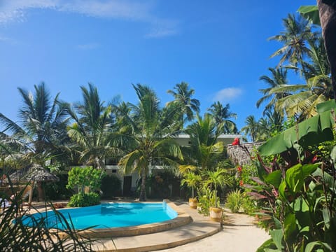 Garden, Garden view, Pool view, Swimming pool