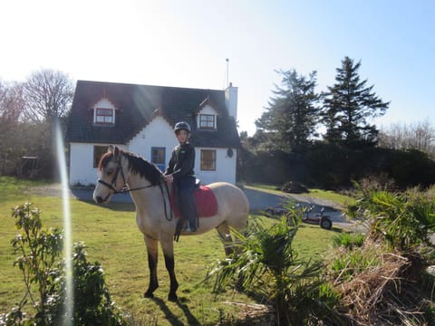 Horse-riding, Animals
