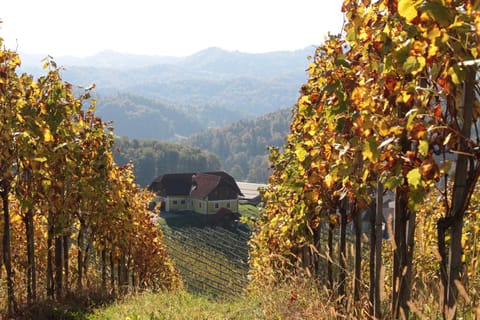 Property building, Day, Natural landscape, Autumn, On site