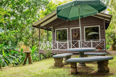 Patio, Day, Garden, Garden view