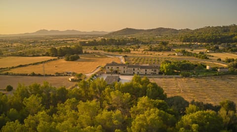 Natural landscape, Bird's eye view