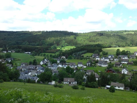 View (from property/room), Area and facilities