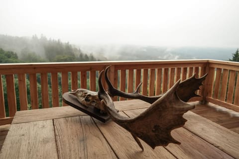 Balcony/Terrace, Mountain view