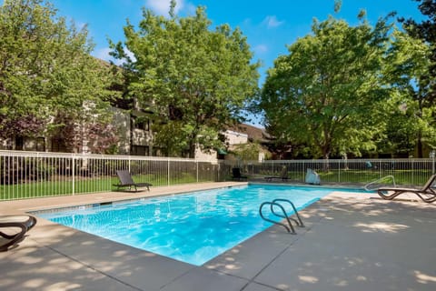 Pool view, Swimming pool, sunbed