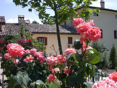 Agriturismo Sasso Rosso Farm Stay in Umbria
