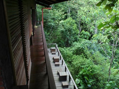 Paganakan Dii Tropical Retreat Lodge nature in Sabah
