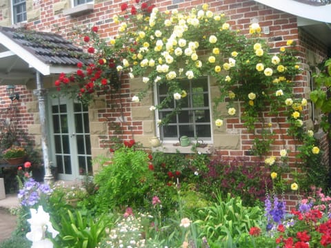 Annie's cottage Übernachtung mit Frühstück in Grose Vale