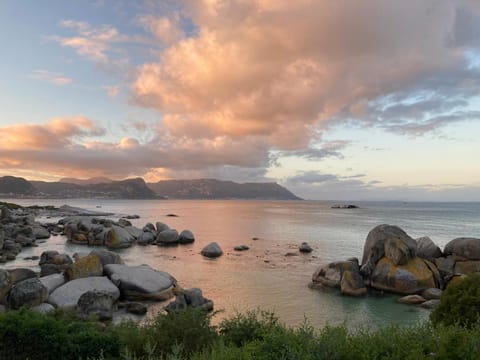 Bosky Dell on Boulders Beach Nature lodge in Cape Town